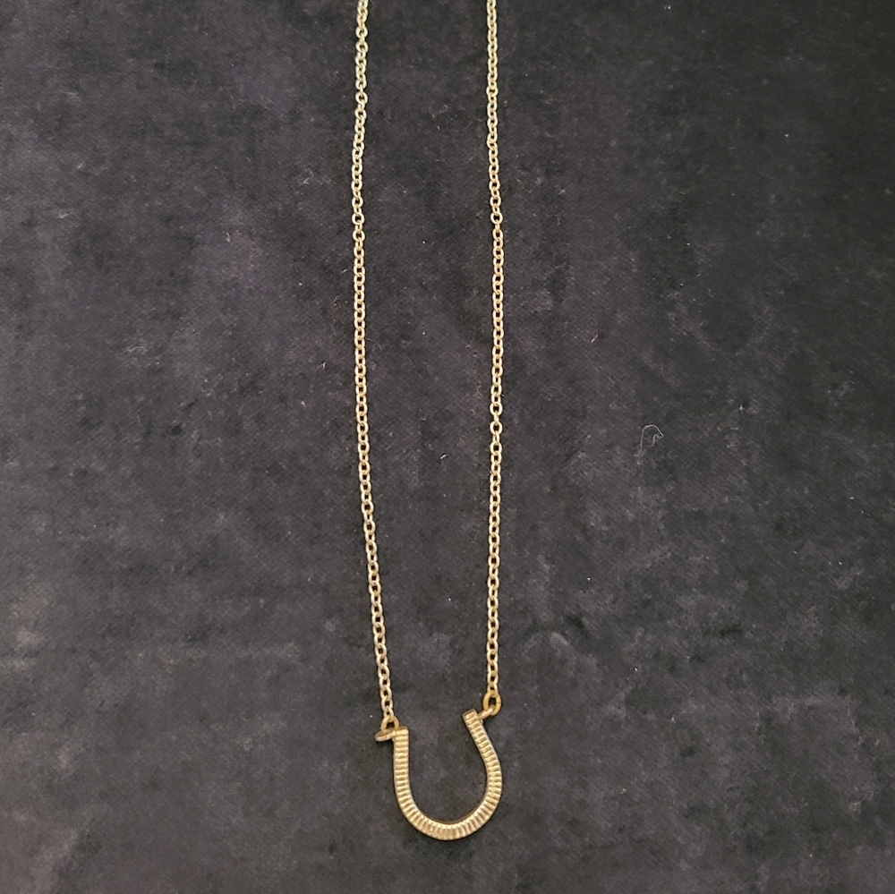 Horseshoe Necklace